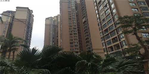 苹果醋哪个品牌值得买
