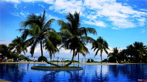 倩女手游哪个角色（倩女手游最高装评）